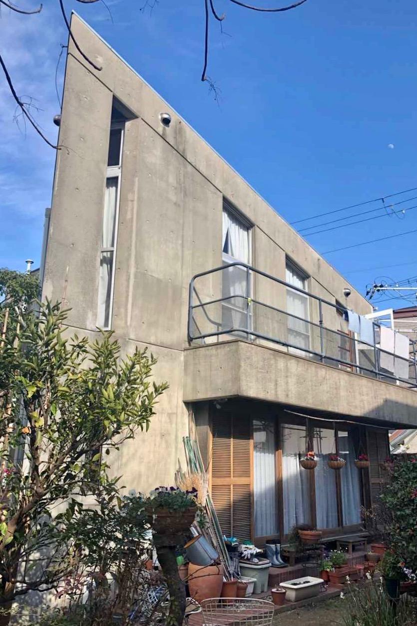 トガった外観