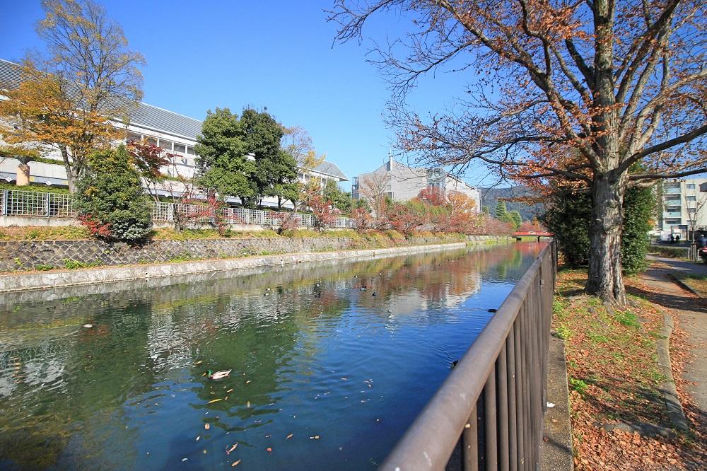 京都市左京区岡崎円勝寺町38-8の賃貸物件/通りに出ればこの風景。カモ達も気持ちよさそうに浮かんでました。