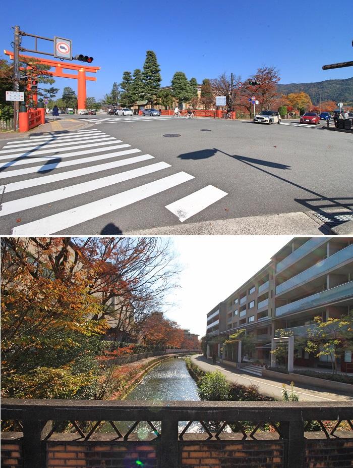 京都市左京区岡崎円勝寺町38-8の賃貸物件/日常的に目にできる風景がこれ。この環境なら一歩踏み出す価値あり。