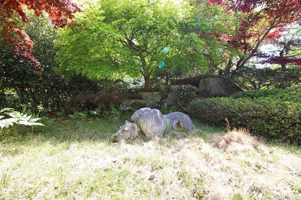 眠れる牛。②
