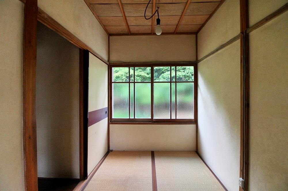 この様に窓には緑がびっしり