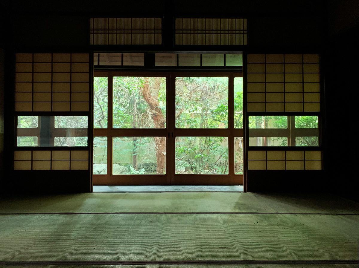 母屋座敷から北側の庭を望む。手入れすればかなり雰囲気良くなりますね。