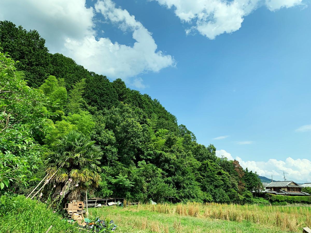 玄関アプローチから山。稜線を境に見えてるすそ野まで。