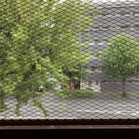 京都市中京区西ノ京中保町57の賃貸物件/エキスパンドメタル越しの街路樹（写真は前回募集時のもの）