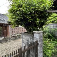 京都市北区紫野上野町80の賃貸物件