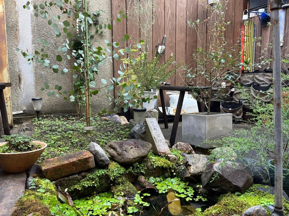 京都市下京区突抜2丁目357の賃貸物件/めだかの学校もありました