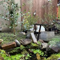 京都市下京区突抜2丁目357の賃貸物件/めだかの学校もありました