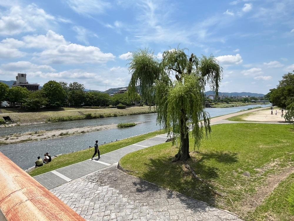 京都市上京区中町通丸太町下る駒之町561 の売買物件/日常にこの風景を取り入れることが出来る