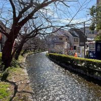京都市下京区木屋町通四条下る斎藤町の賃貸物件/玄関出れば水面煌めく高瀬川