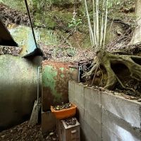 京都市東山区今熊野日吉町191-344の売買物件/勝手口を開けると北の崖が目の前に