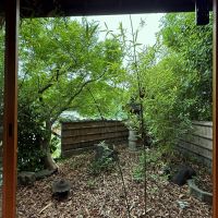 京都市東山区今熊野日吉町191-344の売買物件/西の庭。左下には前面道路が数メートル下に見えます。覗かれる心配は一切無し