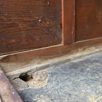 京都市東山区今熊野日吉町191-344の売買物件/玄関間は古風な作り。腰は無垢板張りで、土間には古い作りの水抜き穴があり。かわいい