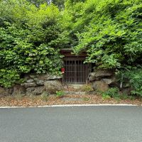 京都市東山区今熊野日吉町191-344の売買物件/道路から数寄屋門を望む。森に包まれるという言葉がふさわしい。緑がもりもりです。