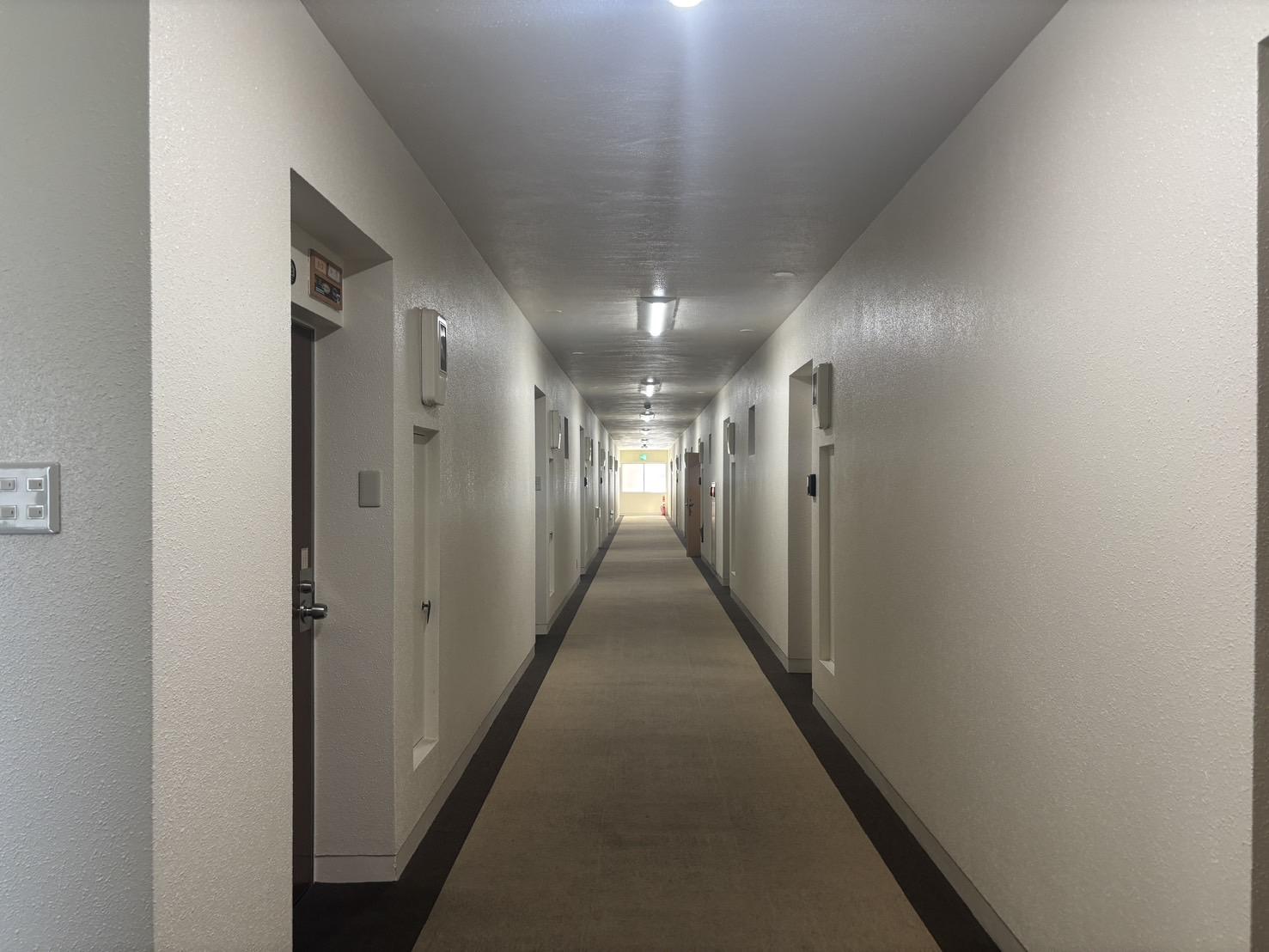 京都市左京区聖護院蓮華蔵町の賃貸物件/絨毯敷きの共用部、清潔感があり管理が行き届いています