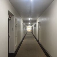京都市左京区聖護院蓮華蔵町の賃貸物件/絨毯敷きの共用部、清潔感があり管理が行き届いています