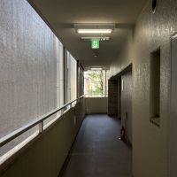 京都市下京区室町通仏光寺上ル白楽天町519の賃貸物件/共用廊下からはシンボルツリーがそっと覗く