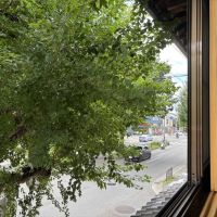 京都市北区紫竹東高縄町29 の賃貸物件/2F｜窓が二重サッシなので、外の音も軽減されています。

