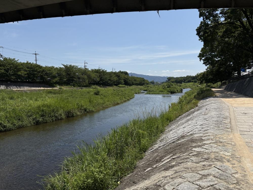 京都市北区大宮南田尻町67-1の賃貸物件/道を渡ればすぐに河川敷に出れます