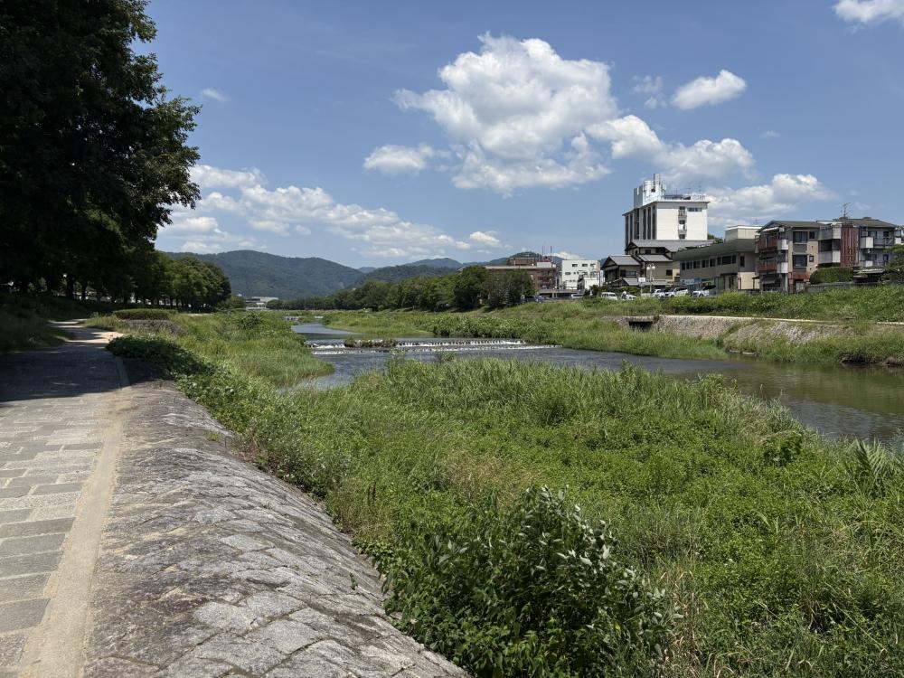 京都市北区大宮南田尻町67-1の賃貸物件/人通りは少ないので、気候の良い時はここでランチをとっても良さそう