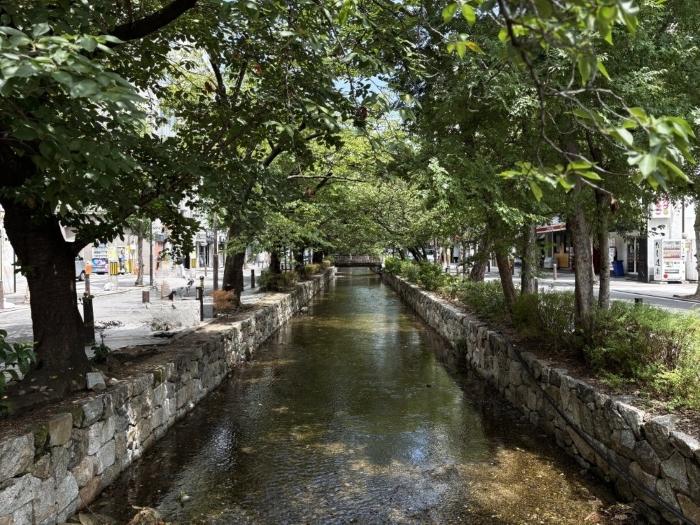 京都市中京区河原町通三条下る三丁目東入南車屋町282番地の賃貸物件/木屋町通は昼間は人通りがウンと少なく、夜とはまた違った表情を見せる高瀬川。