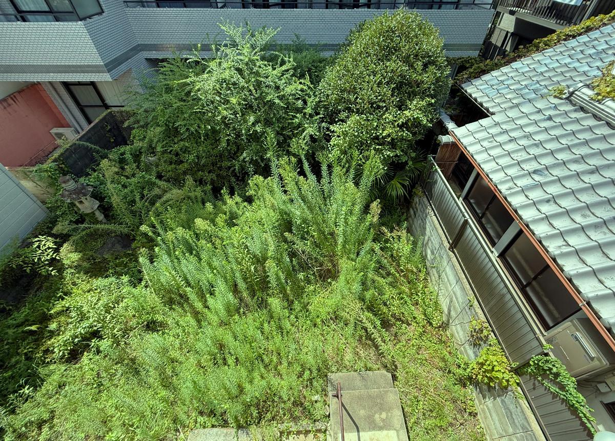 京都市上京区今出川通寺町二筋西入上る一丁目柳風呂町183の売買物件/西庭を上から見る。中央は石畳敷いてきれいに整えて。外周は中高木を植えれば緑に囲まれたステキ空間になりそうです