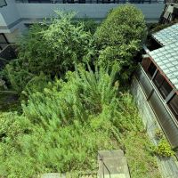 京都市上京区今出川通寺町二筋西入上る一丁目柳風呂町183の売買物件/西庭を上から見る。中央は石畳敷いてきれいに整えて。外周は中高木を植えれば緑に囲まれたステキ空間になりそうです
