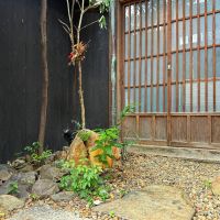 京都市上京区油小路堀川の間中立売上る松之下町57-12の売買物件/玄関庭。自転車も置けそうです。門からこの内庭がある事で、落ち着いた空気感が生まれます