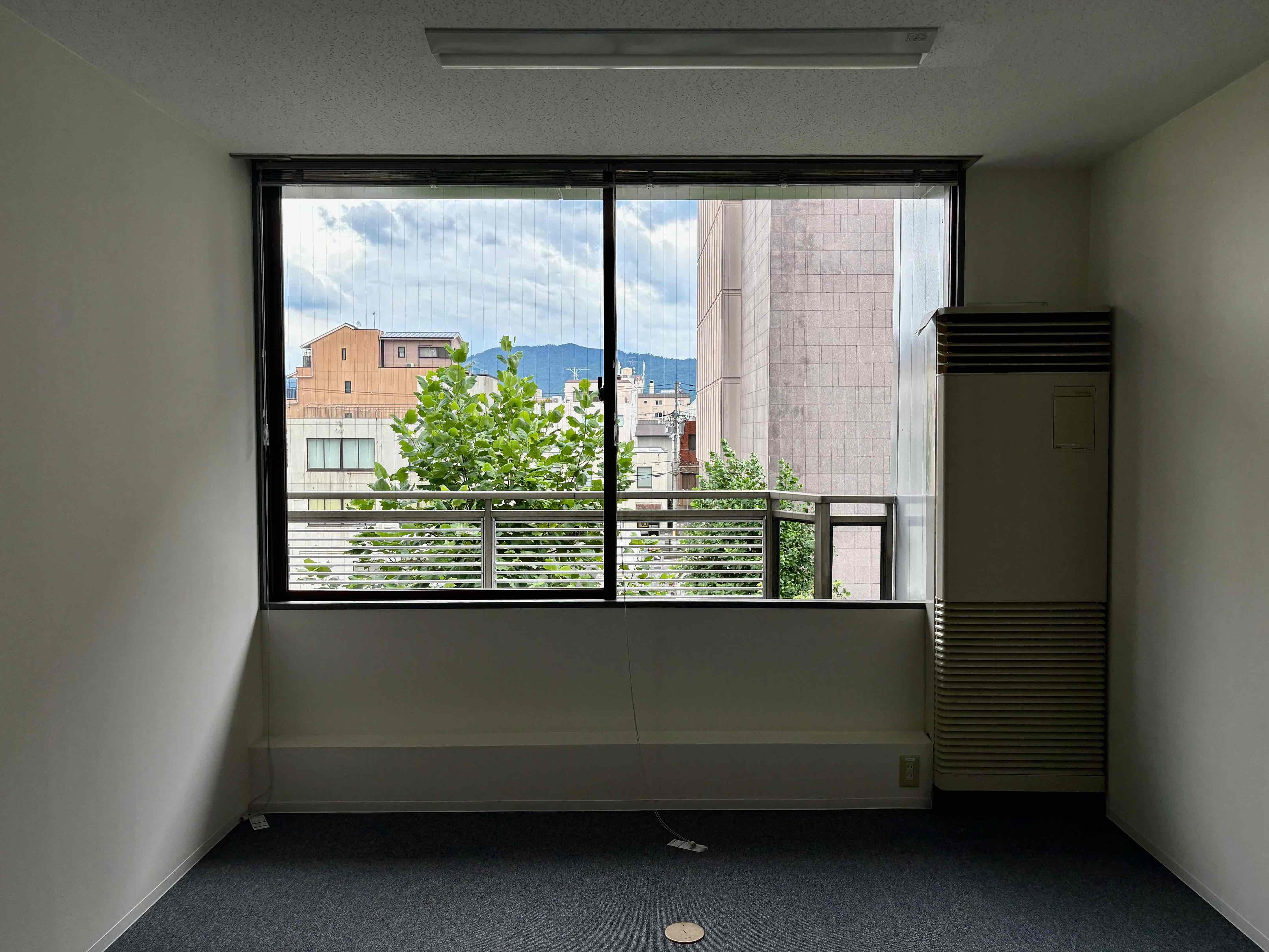 京都市中京区烏丸通竹屋町下る少将井町229-2の賃貸物件/3階｜目の前のユリノキは秋になると、黄色く染まります。四季の移ろいを身近に感じられそう