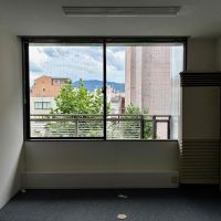 京都市中京区烏丸通竹屋町下る少将井町229-2の賃貸物件/3階｜目の前のユリノキは秋になると、黄色く染まります。四季の移ろいを身近に感じられそう