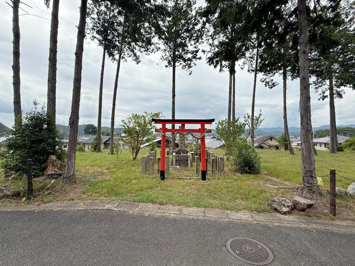 京都市左京区上高野西明寺山33ー10の売買物件/西向かいは伊多太神社の旧社地なので、草原となっています。建物がないため抜け感は大きいです。不思議な木の生え方が独特の空気感を作っています