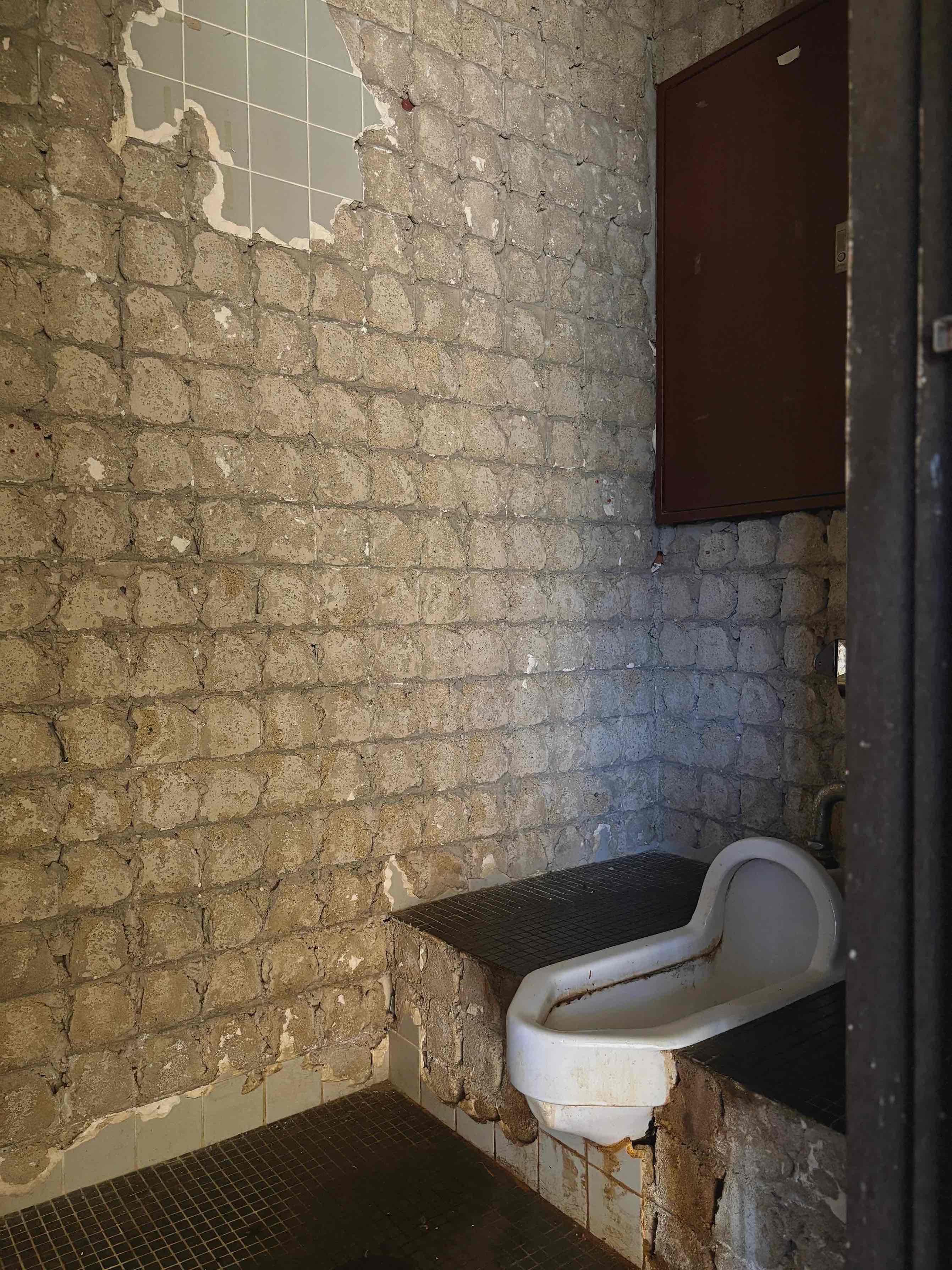 京都市東山区三条通北裏白川筋西入石泉院町394の賃貸物件/トイレも改装したいところ