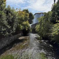 京都市東山区三条通北裏白川筋西入石泉院町394の賃貸物件/数歩で白川のせせらぎを眺めることができます