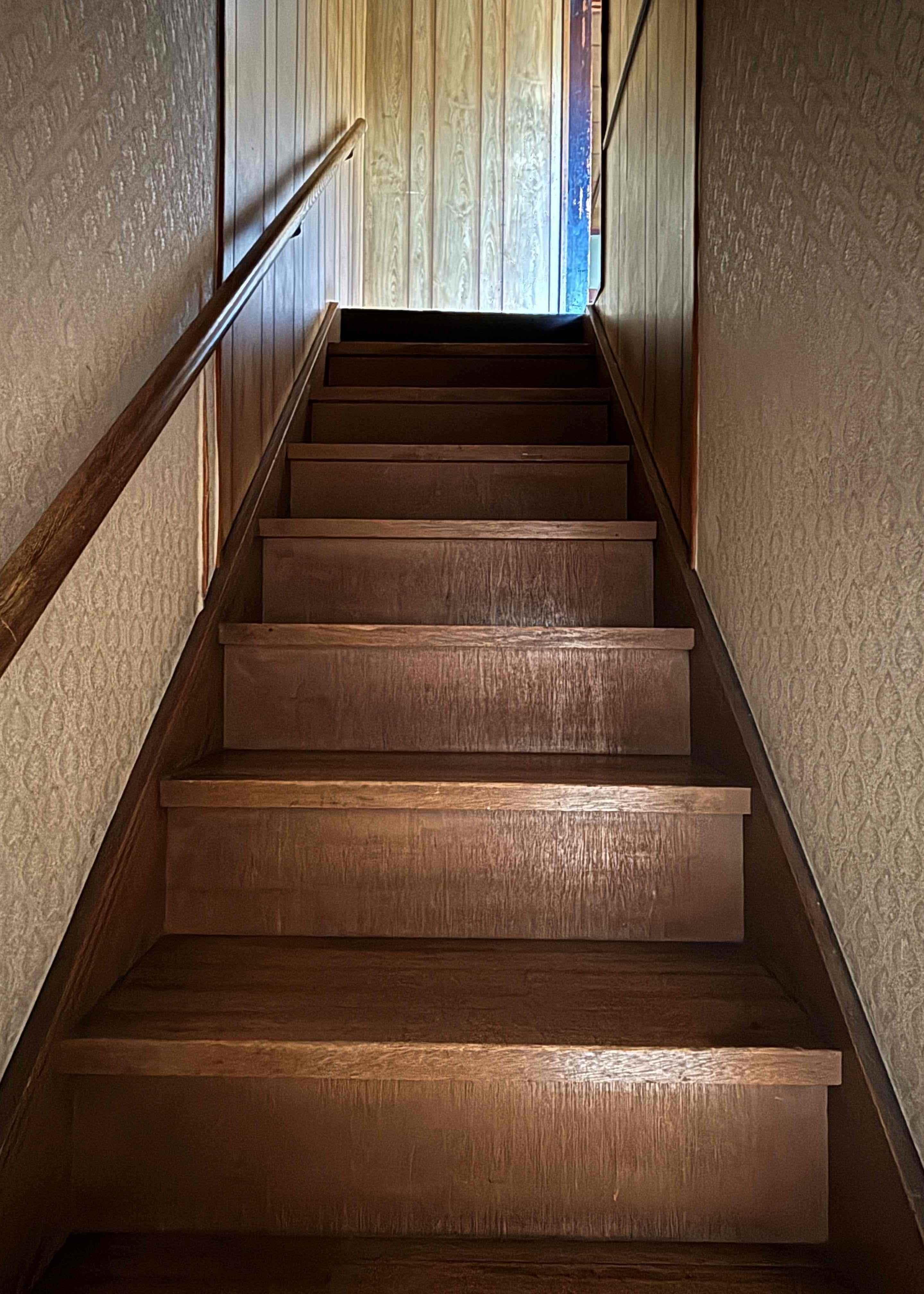 京都市北区紫竹西桃ノ本町５の賃貸物件/階段