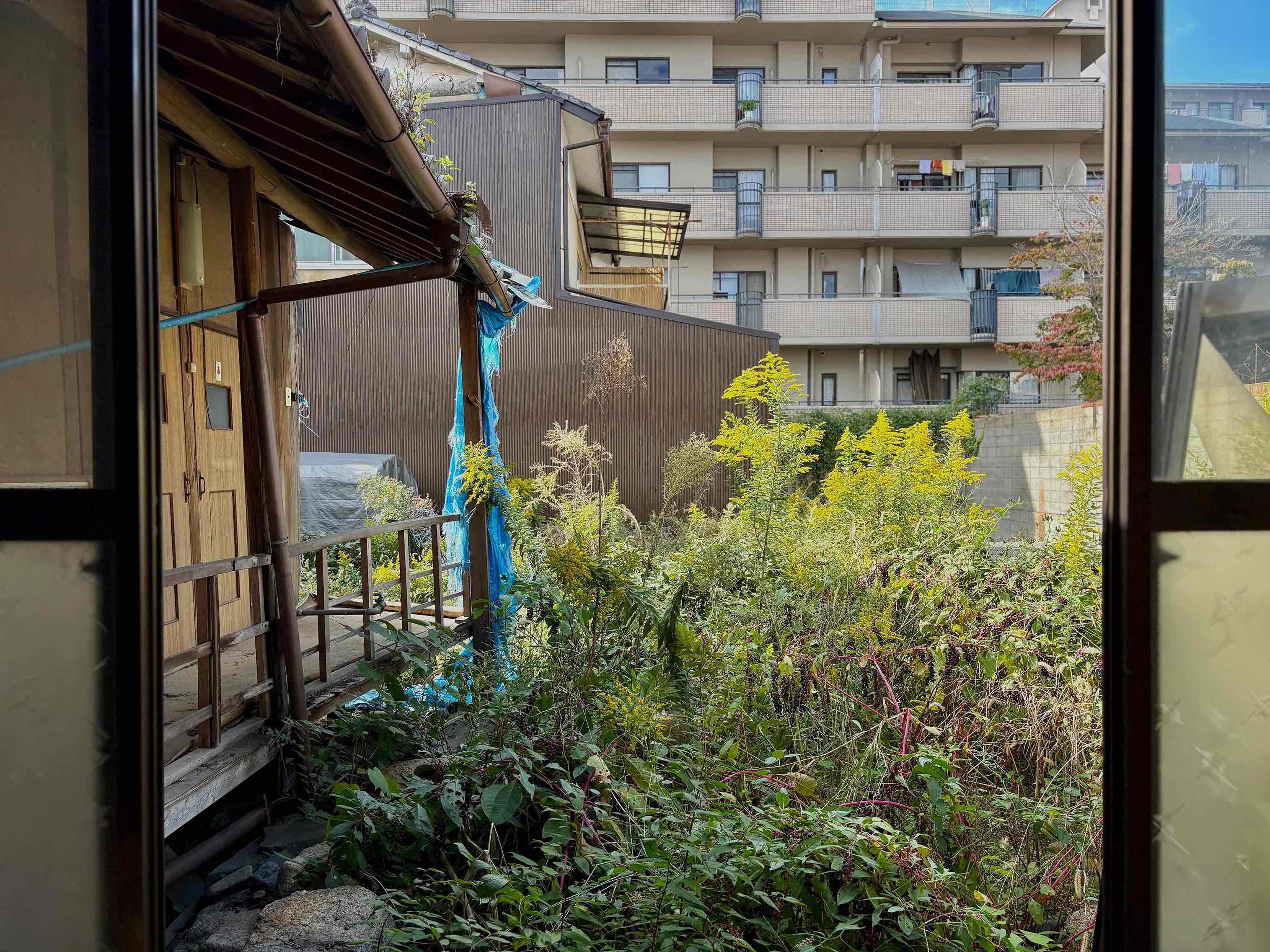 京都市伏見区瀬戸物町725-2の賃貸物件/座敷の奥には縁側。庭も含む募集ですので手入れをしてあげたいところ