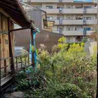 京都市伏見区瀬戸物町725-2の賃貸物件/座敷の奥には縁側。庭も含む募集ですので手入れをしてあげたいところ