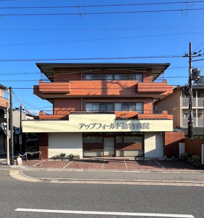 京都府京都市左京区高野泉町の売買物件/1階はテナントと駐車場（9台）。2階3階はファミリータイプがオーナールーム含んで全10戸。