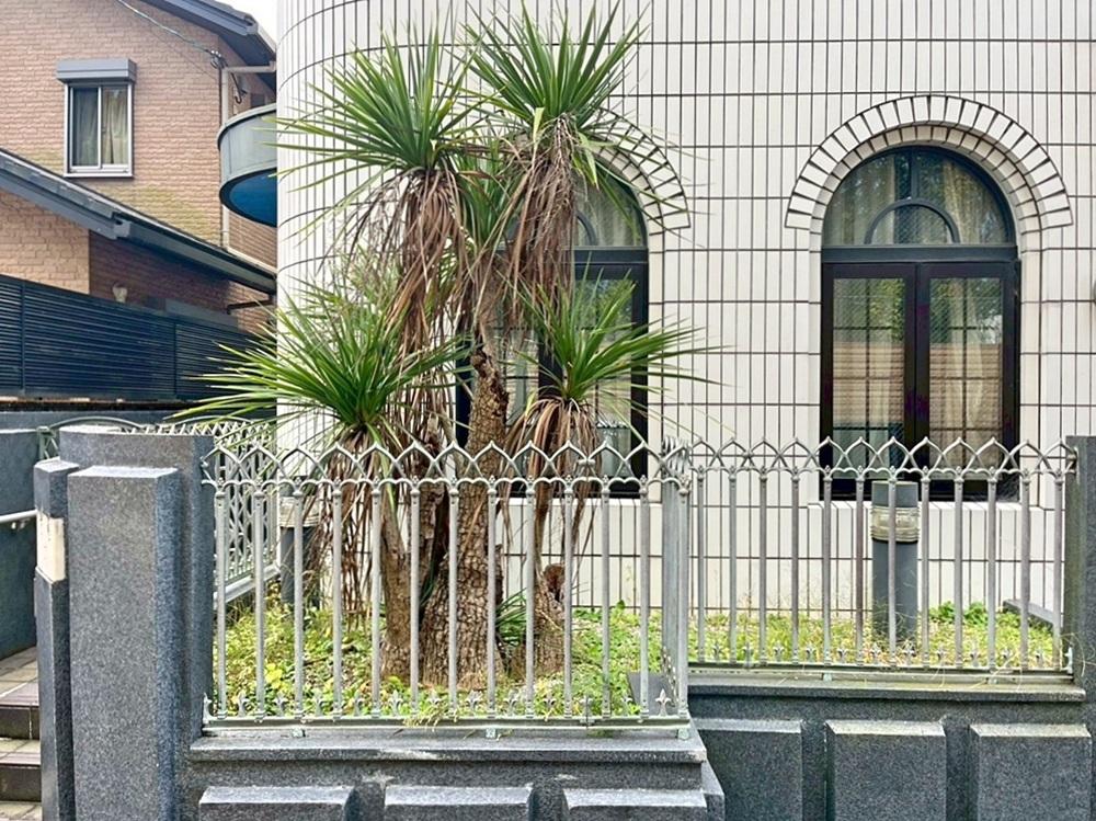 京都市北区紫竹上長目町25-1の売買物件/白いタイルに緑が映える