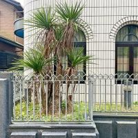 京都市北区紫竹上長目町25-1の売買物件/白いタイルに緑が映える