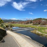 京都市北区紫竹上長目町25-1の売買物件/2分も歩けばこの環境