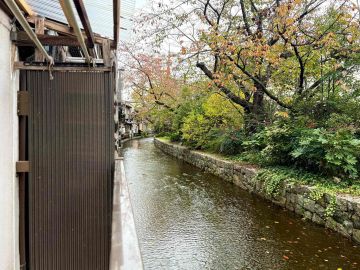 京都市下京区⻄⽊屋町通松原上る3丁⽬市之町 260-22の賃貸物件/流れと共に