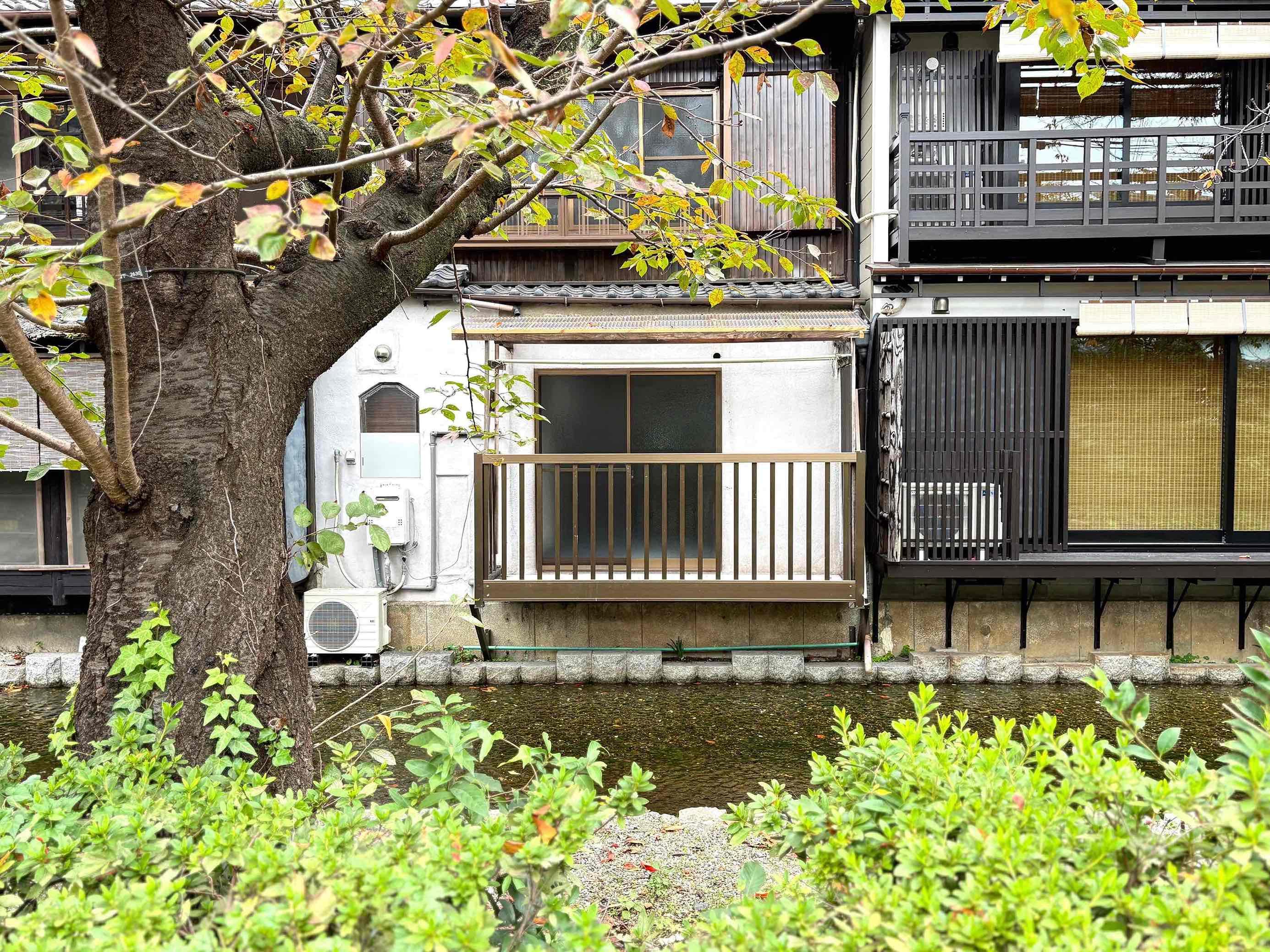 京都市下京区⻄⽊屋町通松原上る3丁⽬市之町 260-22の賃貸物件/対岸の木屋町通から。春になればソメイヨシノが目の前で咲き乱れる事でしょう