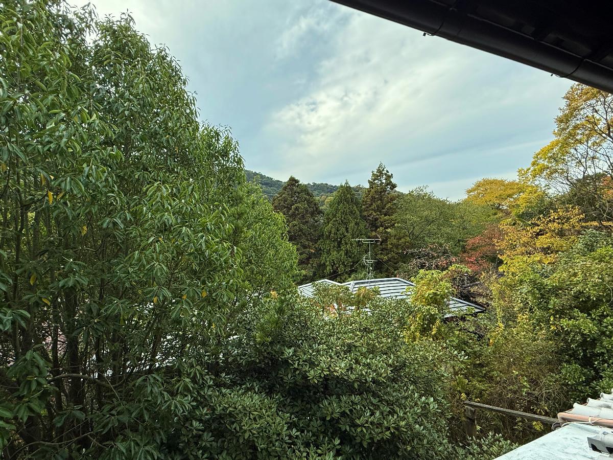 京都市山科区日ノ岡夷谷町21-9の売買物件/2階南和室から西を望む。2階建て隣家の屋根は御覧の通りの高さ。その奥は斜面で蹴上の三条通と続いています。山の上なので道路の喧騒は皆無。静かに過ごせます