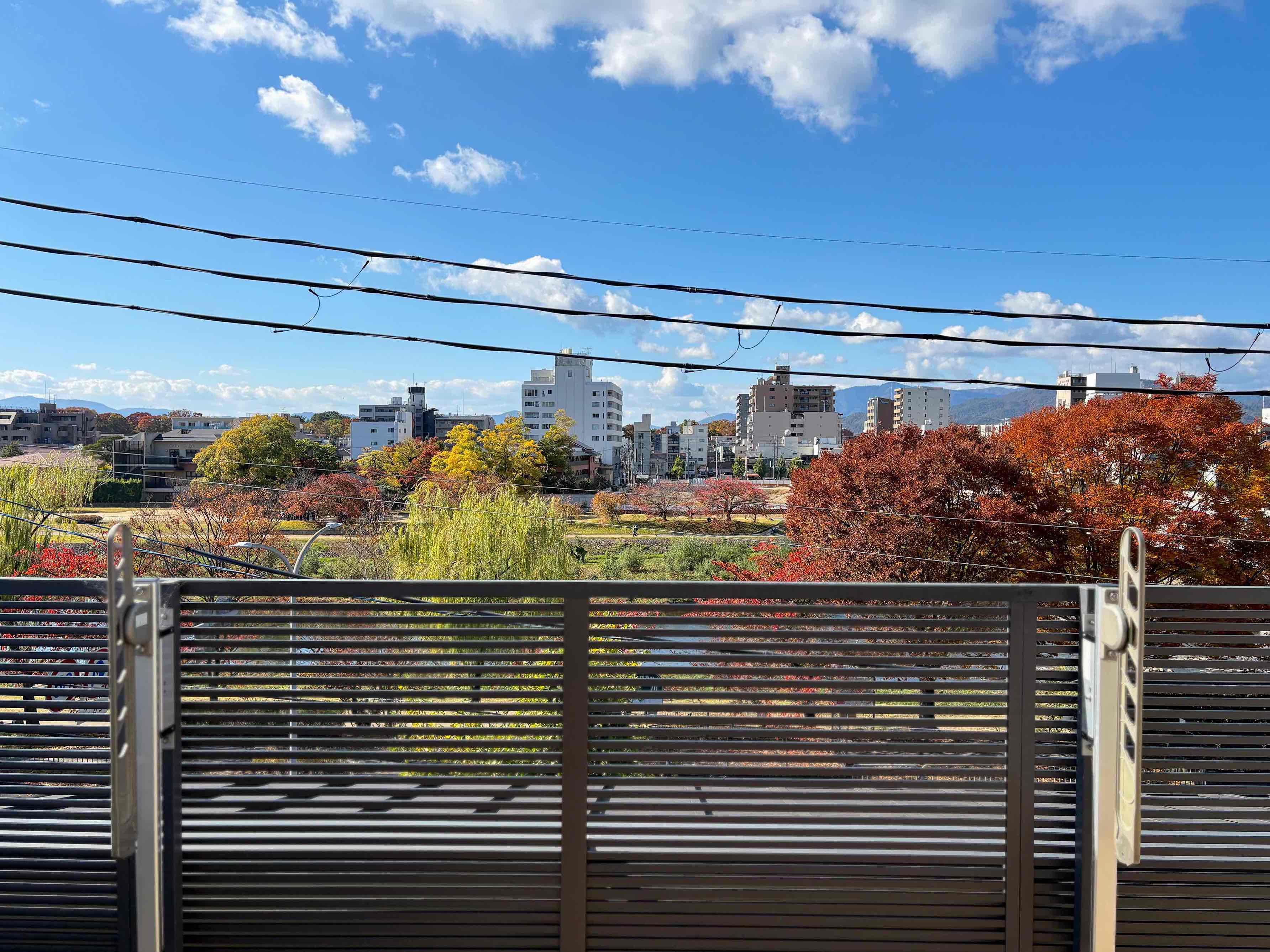 京都市左京区田中下柳町40の賃貸物件/鴨川沿いでは皆、思い思いの時間を過ごしています。ここから眺めればそんな人々も景色の一部に感じます