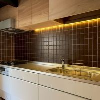 滋賀県大津市木下町7-32の売買物件/前面タイルは渋いカラーリング。コンロはガス3口。