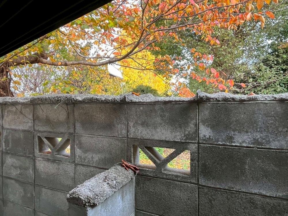 滋賀県大津市木下町7-32の売買物件/隣地は神社。本来本物件敷地も和田神社の境内だったとか。