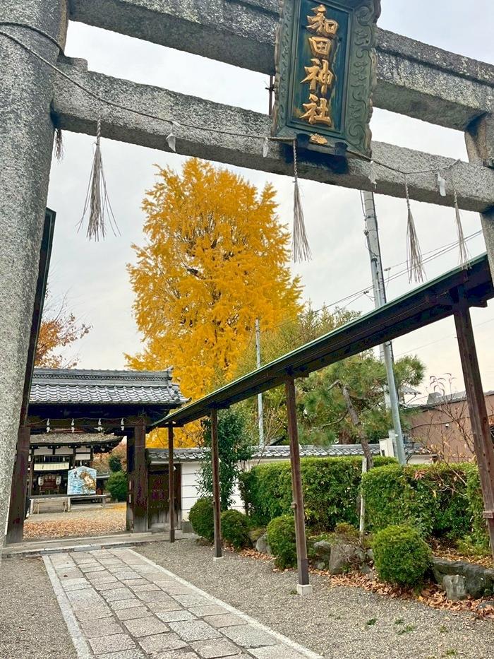 滋賀県大津市木下町7-32の売買物件/隣地の和田神社の境内には天然記念物に指定されている樹齢約650年の大銀杏