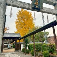 滋賀県大津市木下町7-32の売買物件/隣地の和田神社の境内には天然記念物に指定されている樹齢約650年の大銀杏