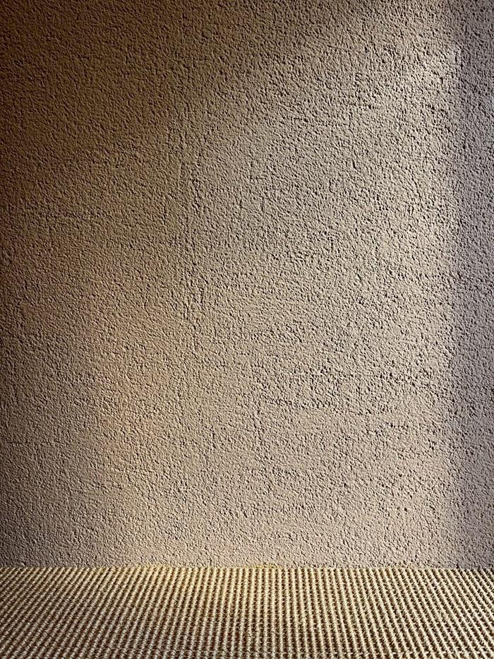 京都市左京区東丸太町32-2の賃貸物件/1F｜表情のある塗り壁