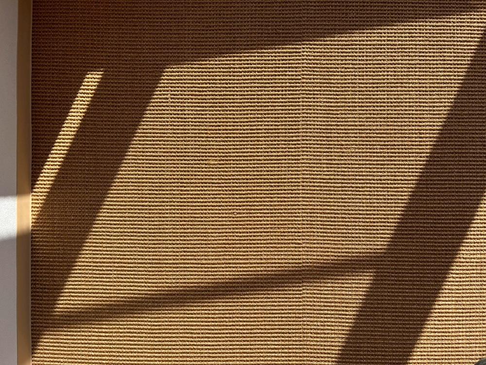 京都市左京区東丸太町32-2の賃貸物件/全フロアにサイザル麻。足触りが良い。