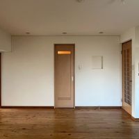 京都市左京区聖護院円頓美町47-5の売買物件/正面ドアがサニタリースペース